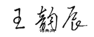 駱恆光王韻辰草書個性簽名怎么寫