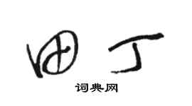 駱恆光田丁草書個性簽名怎么寫