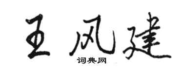 駱恆光王風建行書個性簽名怎么寫