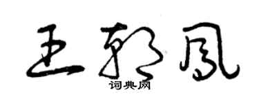 曾慶福王朝鳳草書個性簽名怎么寫