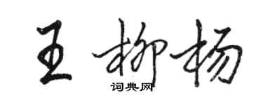 駱恆光王柳楊行書個性簽名怎么寫