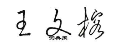 駱恆光王文榕草書個性簽名怎么寫