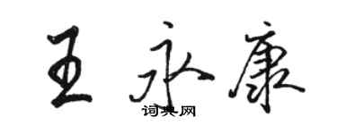 駱恆光王永康行書個性簽名怎么寫