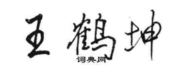 駱恆光王鶴坤行書個性簽名怎么寫