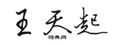 駱恆光王天起行書個性簽名怎么寫