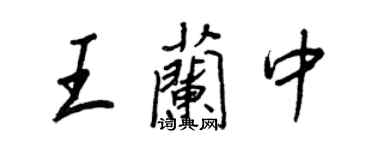 王正良王蘭中行書個性簽名怎么寫