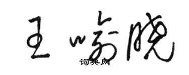 駱恆光王喻曉草書個性簽名怎么寫