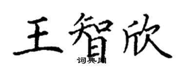 丁謙王智欣楷書個性簽名怎么寫