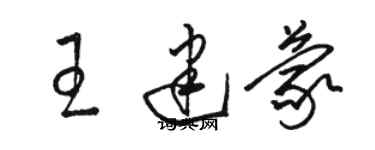 駱恆光王建蒙草書個性簽名怎么寫