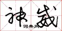 朱錫榮神威草書怎么寫