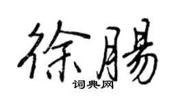 王正良徐腸行書個性簽名怎么寫