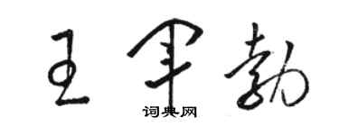 駱恆光王軍勃草書個性簽名怎么寫