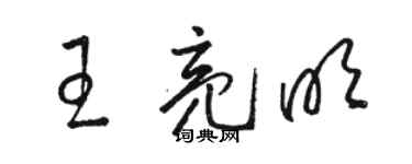 駱恆光王亮明草書個性簽名怎么寫