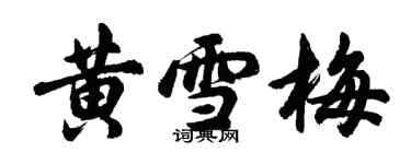 胡問遂黃雪梅行書個性簽名怎么寫