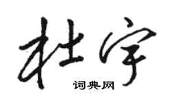 駱恆光杜宇草書個性簽名怎么寫