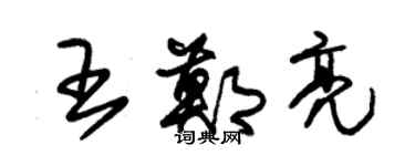 朱錫榮王鄭亮草書個性簽名怎么寫