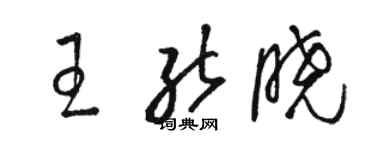 駱恆光王能曉草書個性簽名怎么寫