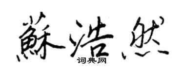 王正良蘇浩然行書個性簽名怎么寫