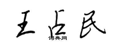 王正良王占民行書個性簽名怎么寫