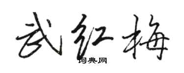 駱恆光武紅梅行書個性簽名怎么寫