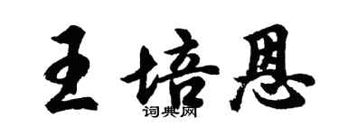 胡問遂王培恩行書個性簽名怎么寫