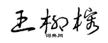 曾慶福王柳榕草書個性簽名怎么寫
