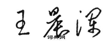 駱恆光王晨瀾草書個性簽名怎么寫