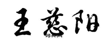 胡問遂王慈陽行書個性簽名怎么寫