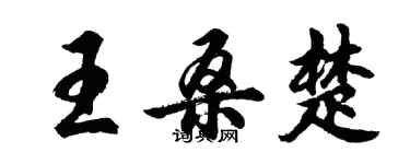 胡問遂王桑楚行書個性簽名怎么寫