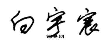 朱錫榮向宇宸草書個性簽名怎么寫