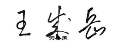 駱恆光王成岳草書個性簽名怎么寫