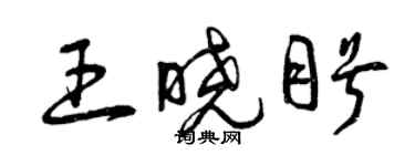 曾慶福王曉盼草書個性簽名怎么寫