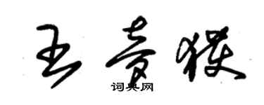 朱錫榮王夢獲草書個性簽名怎么寫