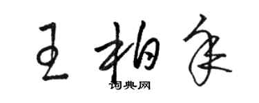 駱恆光王柏年草書個性簽名怎么寫