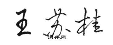 駱恆光王蘇桂行書個性簽名怎么寫