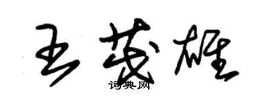 朱錫榮王茂雄草書個性簽名怎么寫