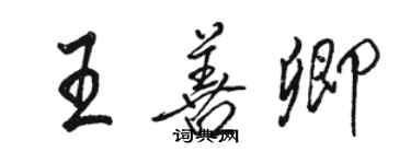 駱恆光王善卿行書個性簽名怎么寫