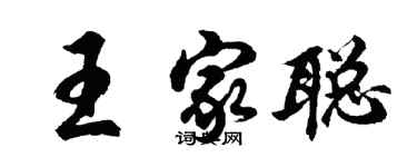 胡問遂王家聰行書個性簽名怎么寫