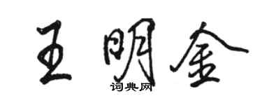 駱恆光王明金行書個性簽名怎么寫