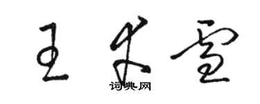 駱恆光王幸雪草書個性簽名怎么寫