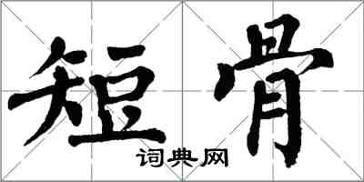 翁闓運短骨楷書怎么寫