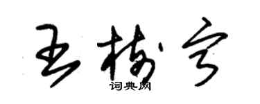 朱錫榮王樹寧草書個性簽名怎么寫