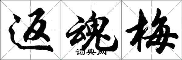 胡問遂返魂梅行書怎么寫