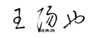駱恆光王陽也草書個性簽名怎么寫