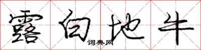 龐中華露白地牛行書怎么寫