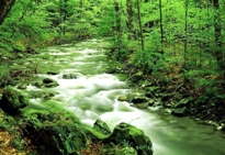 關於小溪的作文 小溪作文專題