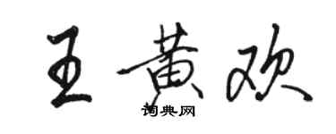 駱恆光王黃歡行書個性簽名怎么寫