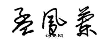 朱錫榮孟鳳蘭草書個性簽名怎么寫