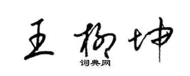 梁錦英王柳坤草書個性簽名怎么寫