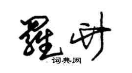 朱錫榮羅竹草書個性簽名怎么寫